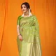 P Green__Royal Rajgharana Sarees